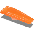 Realistic Carrot Slice