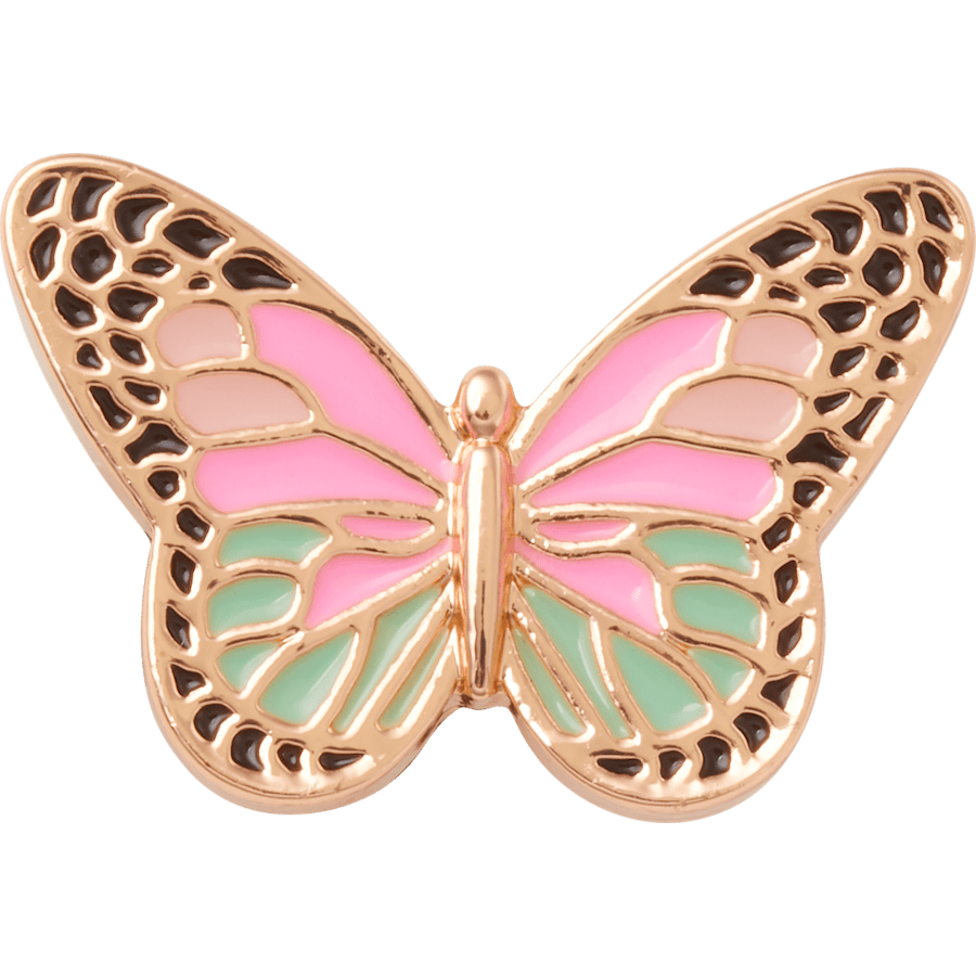 Elevated Colorful Butterfly