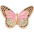 Elevated Colorful Butterfly