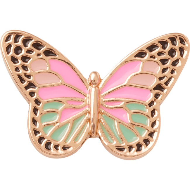 Elevated Colorful Butterfly