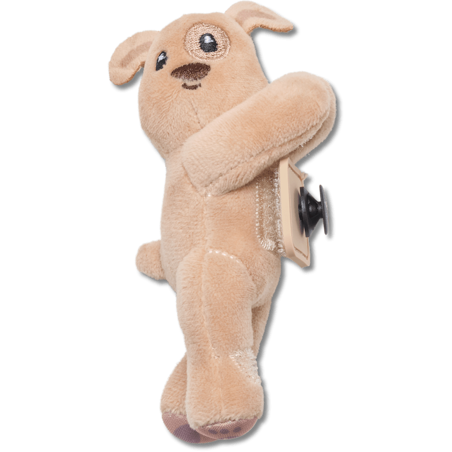 Chiot marron Huggitz