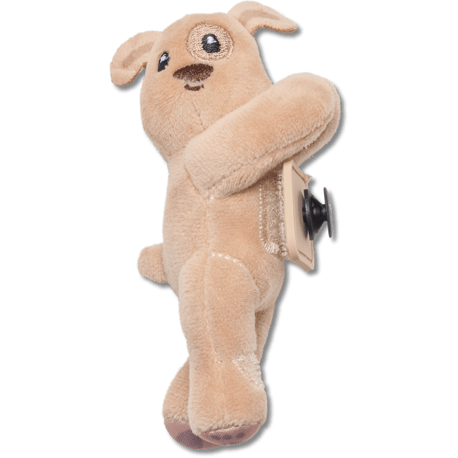 Chiot marron Huggitz