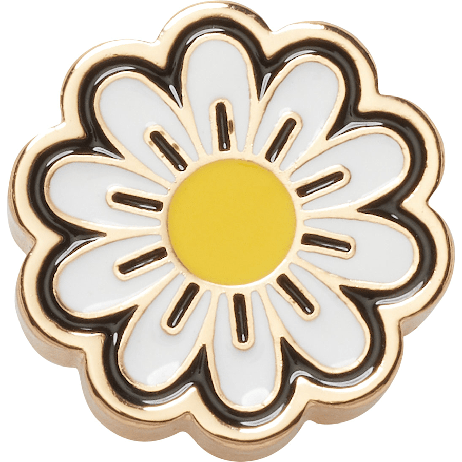 Elevated Daisy