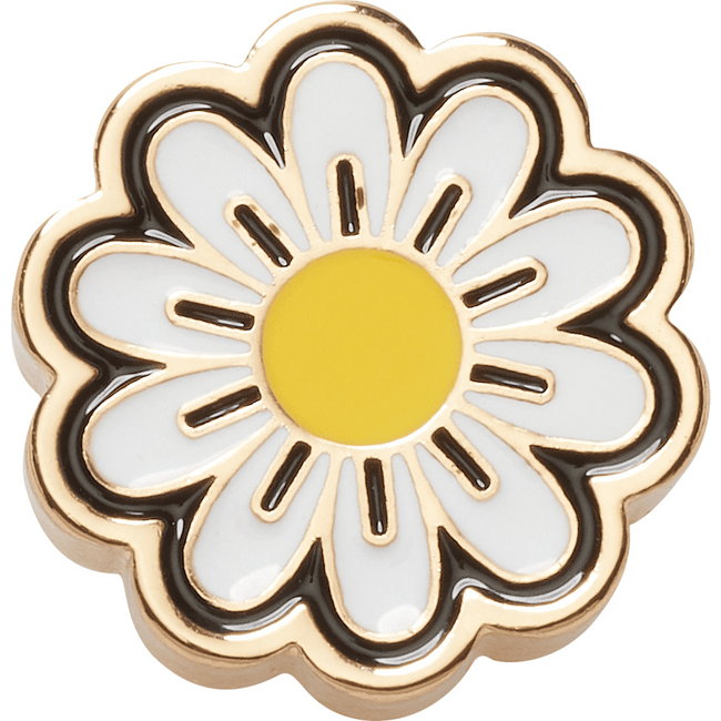 Elevated Daisy