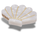 White and Gold Seashell