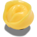 Realistic Tortellini Pasta