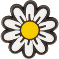Tiny Daisy