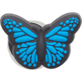 Blue Butterfly