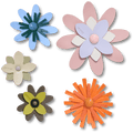 Faux Leathe r Floral 5 Pack