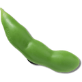 Realistic Snap Pea