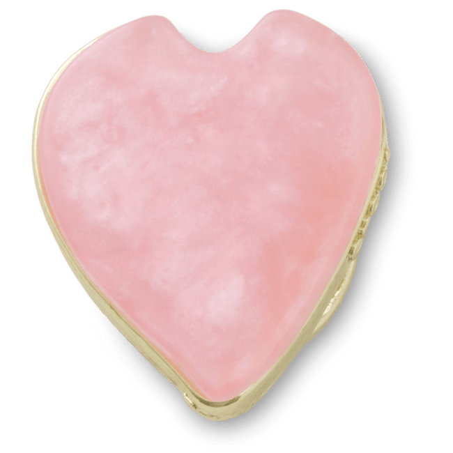 Pink Flower Petal