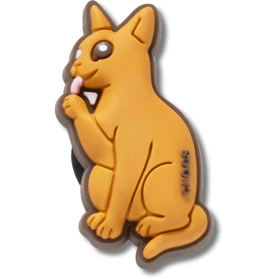 Abyssinian Cat