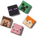 Minecraft 5 Pack