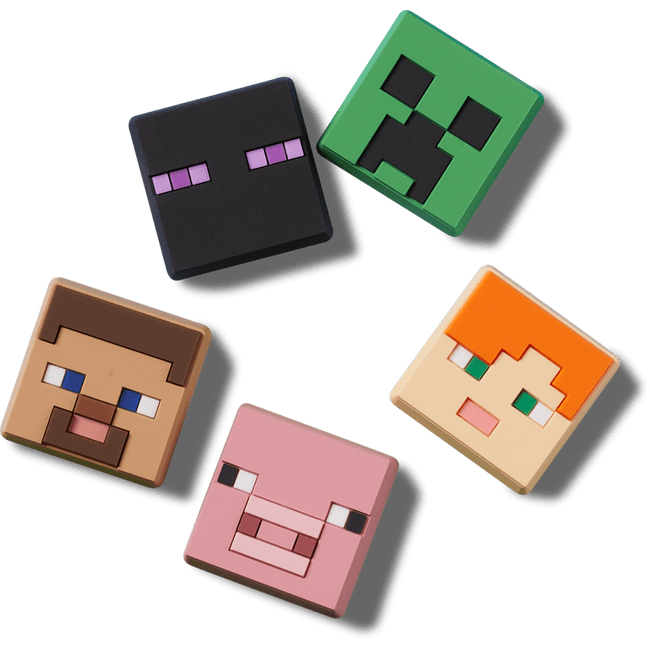 Minecraft 5 Pack
