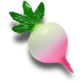 Realistic Radish