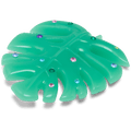Mega Gem Monstera