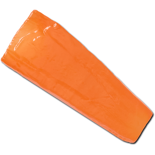 Realistic Carrot Slice