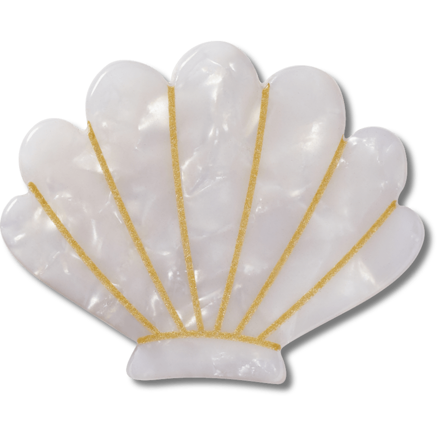 White and Gold Seashell