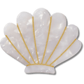 White and Gold Seashell