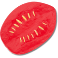 Realistic Plum Tomato Slice