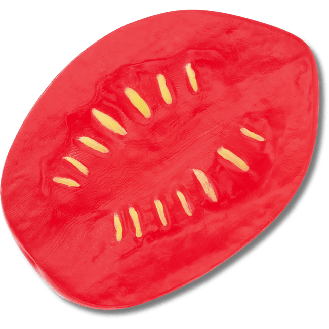 Realistic Plum Tomato Slice