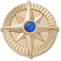 Gold Star Navy Gem