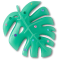 Mega Gem Monstera