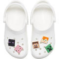 Minecraft 5 Pack