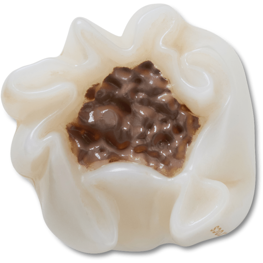 Realistic Shumai