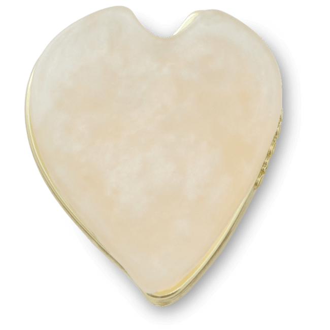 White Flower Petal